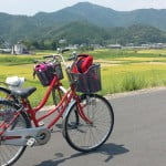 四國四萬十川單車遊
