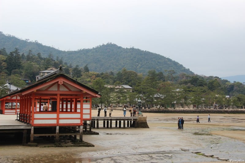 日本宮島嚴島神社