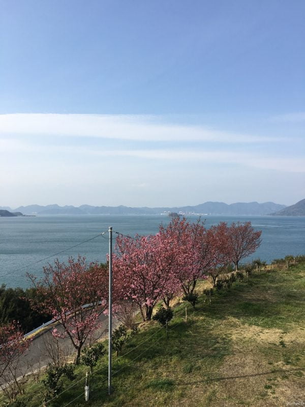 瀨戶內島波海道